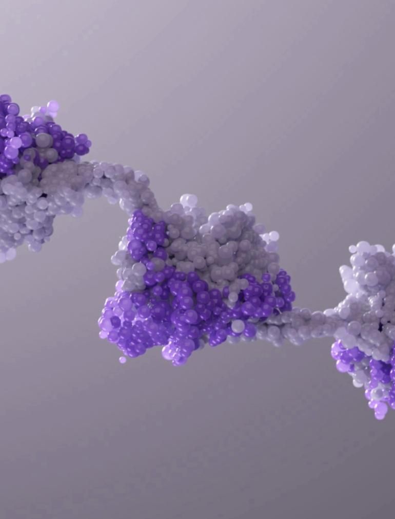 A microscopic illustration of a long chain made up of small molecules with five spherical groupings of molecules on the chain in two different shades of purple.​