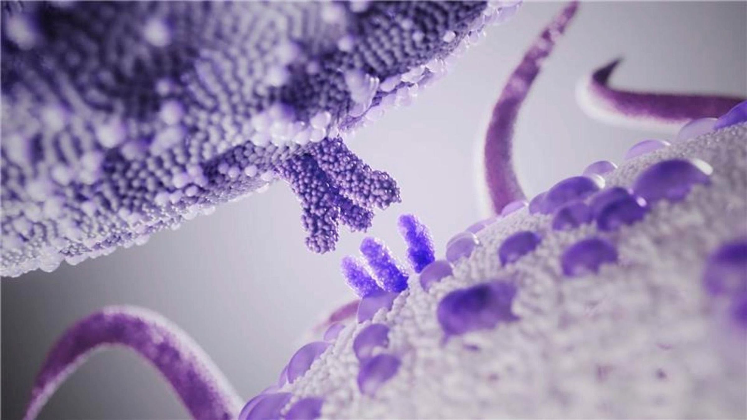 A microscopic illustration depicting purple molecular structures with three finger-like prongs each, interacting between two textured, granular surfaces. The structures vary in shape and shades of purple, made up of small molecules.