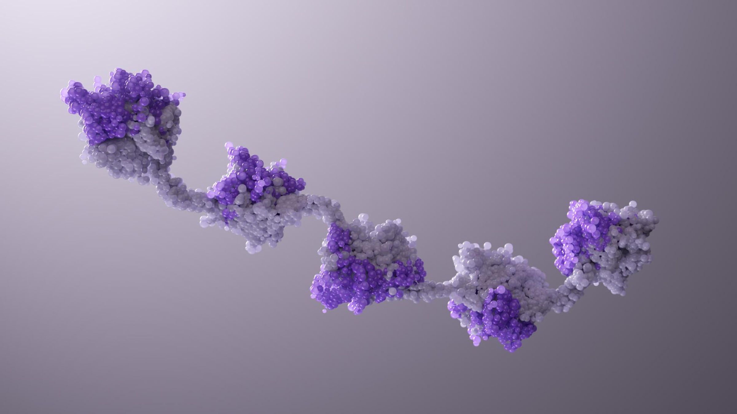 A microscopic illustration of a long chain made up of small molecules with five spherical groupings of molecules on the chain in two different shades of purple.