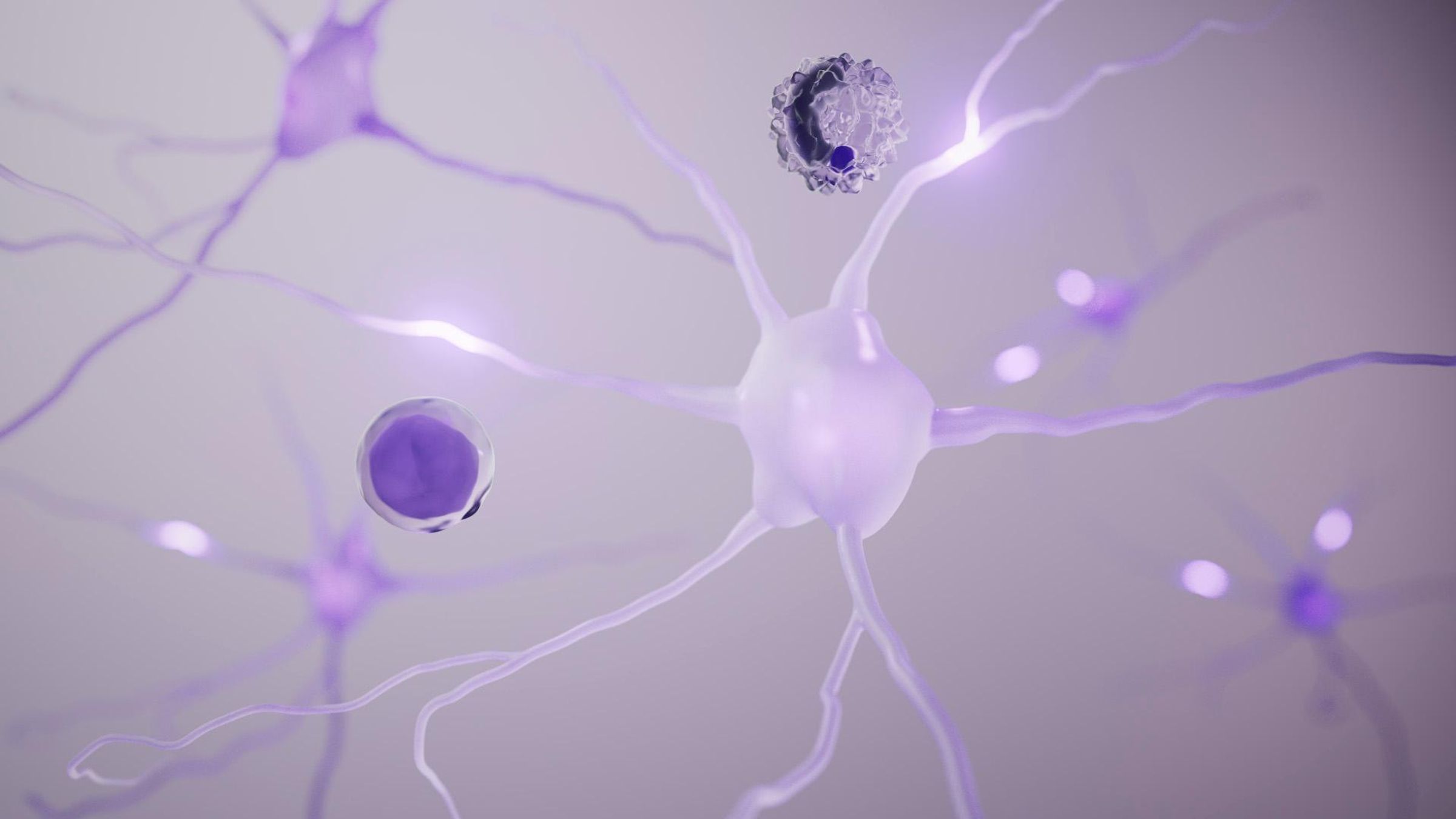 A microscopic illustration showing five purple neuron structures with glowing connections. There are two spheres set around them in different shades of purple. 