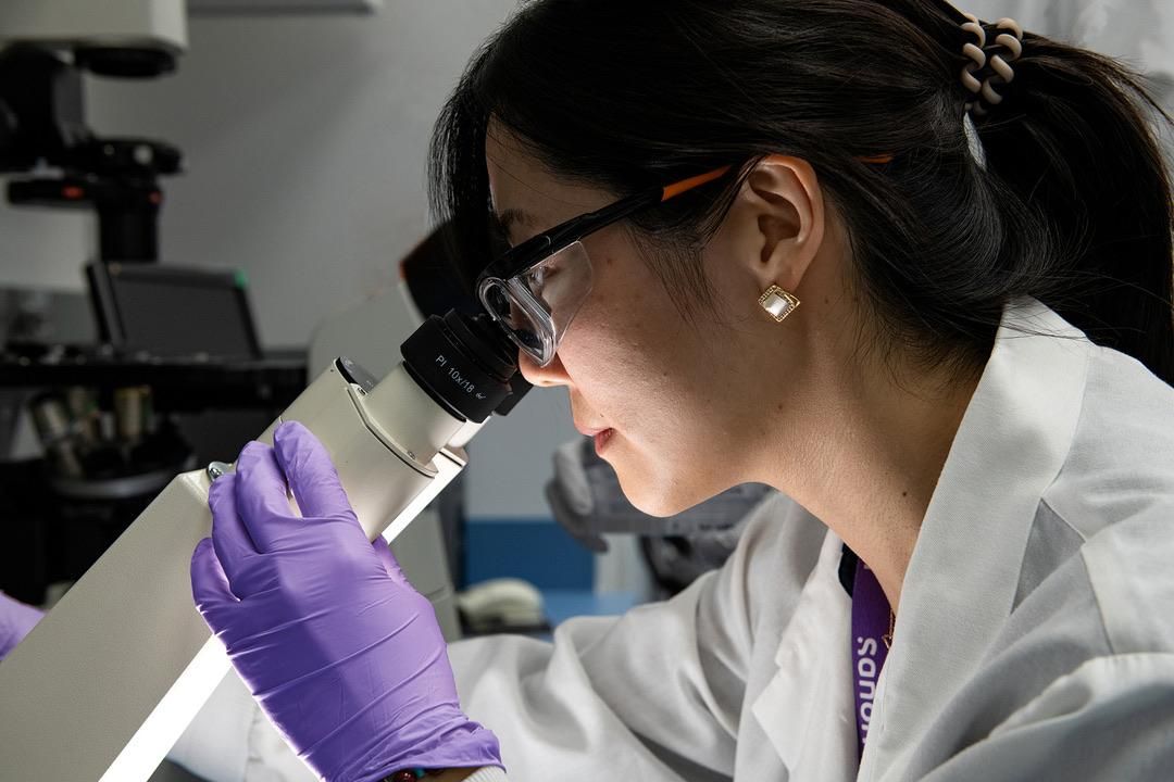 Research scientist using a microscope for immunology research in a pharmaceutical laboratory.