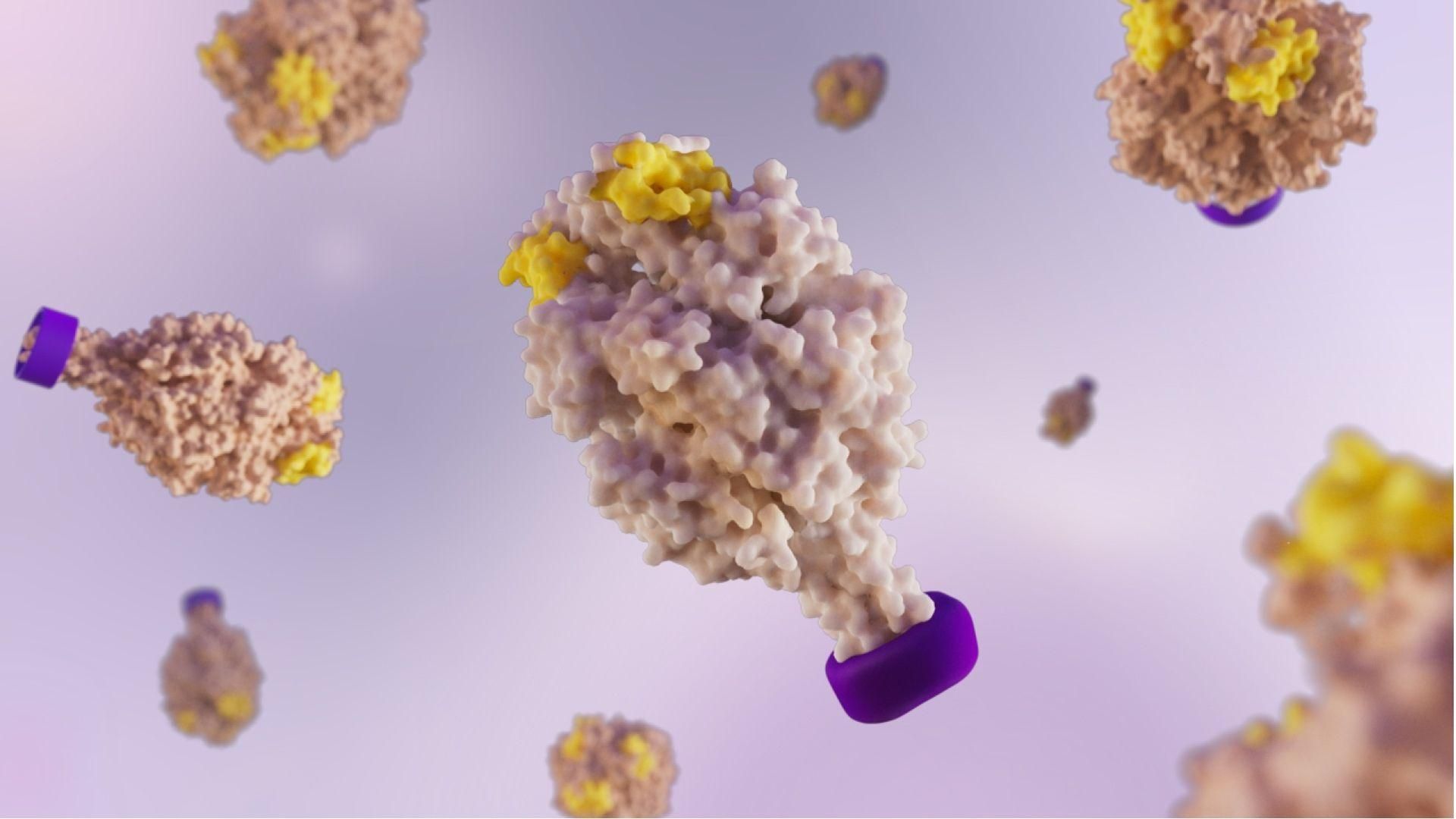 The F protein of the Respiratory Syncytial Virus (RSV), with a molecular clamp (purple) and key epitopes exposed (yellow).
