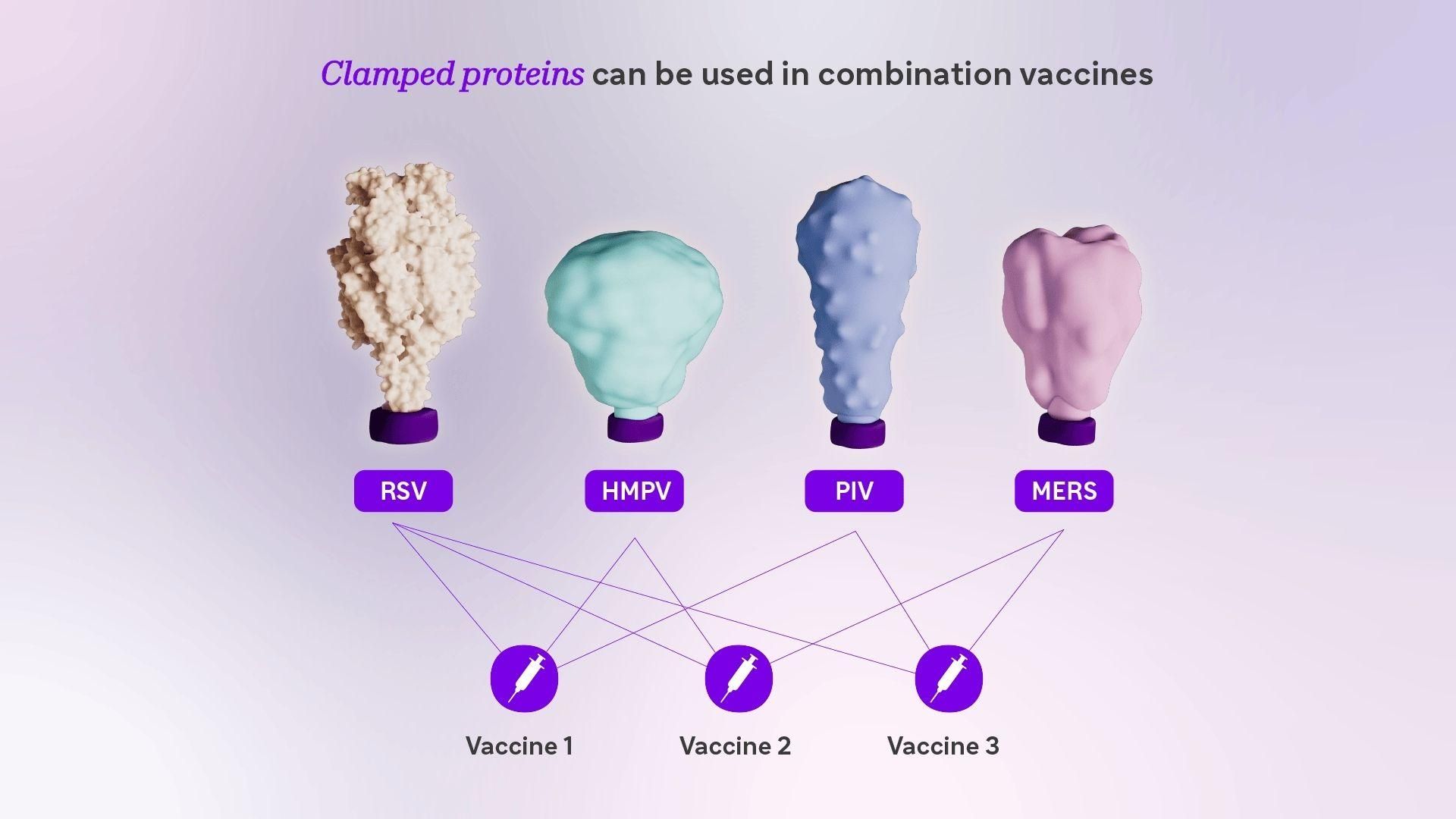 Figure 3. Different proteins are shown with molecular clamps. These proteins can be used in varying combinations to produce new vaccines that target multiple infectious threats.