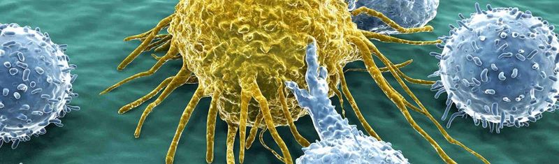 Detailed illustration of a yellow cell with complex structures, resembling a neuron, on a green-blue gradient background