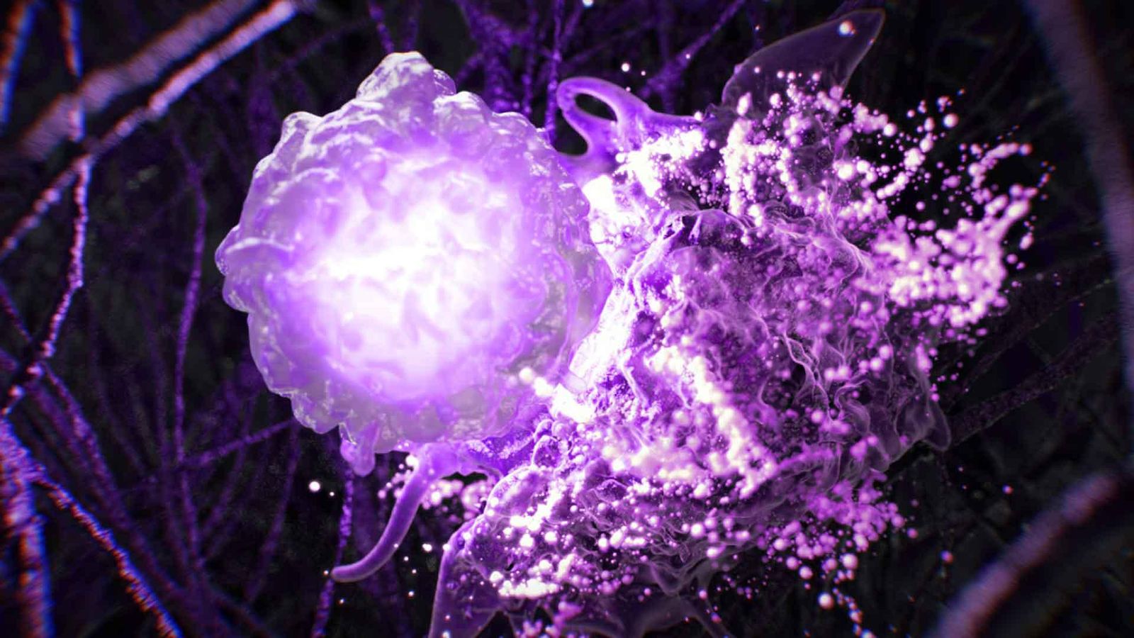Microscopic view of cells