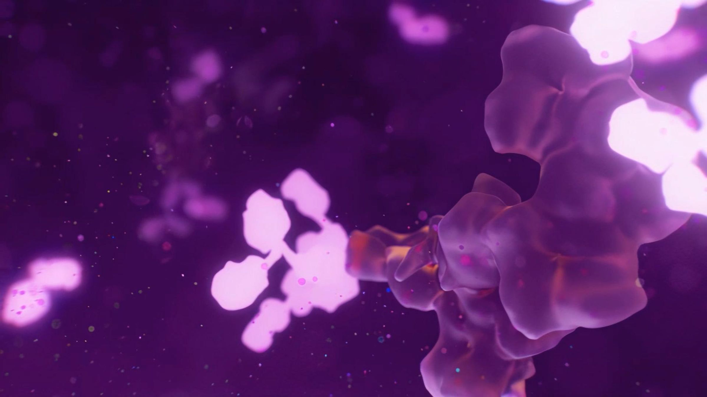 Microscopic view of an antibody