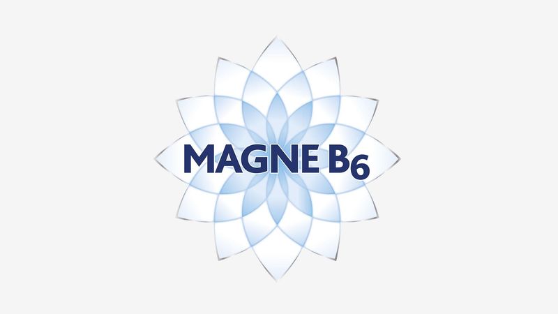 Magne B6 logo
