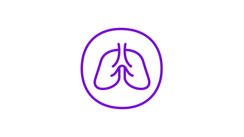 A minimalist graphic of human lungs within a purple circle. Two symmetrical, elongated shapes represent the lungs, outlined and filled with light purple. A vertical line at the top depicts the trachea. The entire design uses shades of purple against a white background