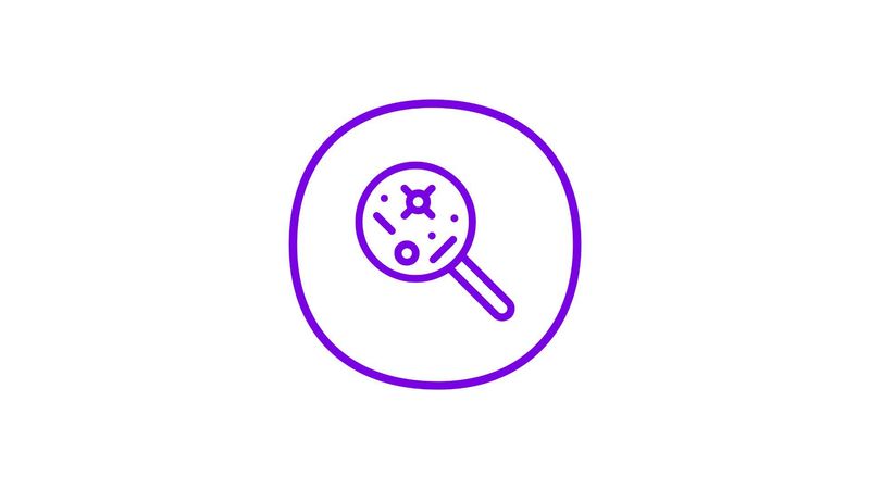 A purple icon of a magnifying glass surrounded by a purple circle